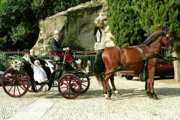 Home, Ristorante Molera, Menù alla carta | Matrimoni | Cerimonie | Eventi