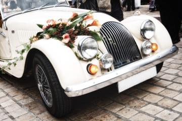 Home, Ristorante Molera, Menù alla carta | Matrimoni | Cerimonie | Eventi